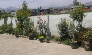 College Garden